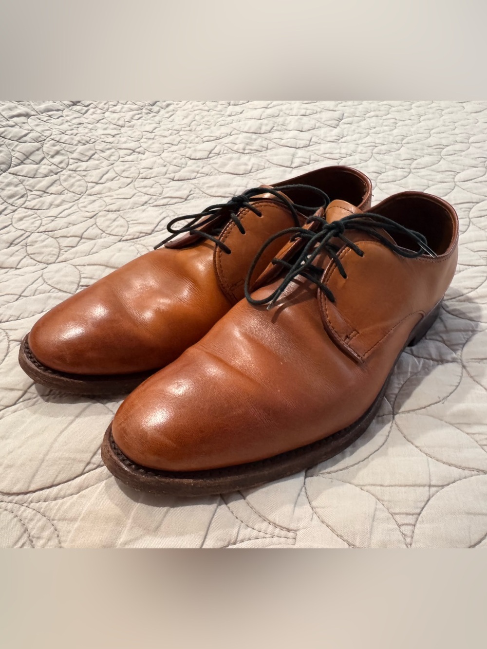 Allen Edmonds Men's Classic Leather Derby Shoes in Brown. Size 8